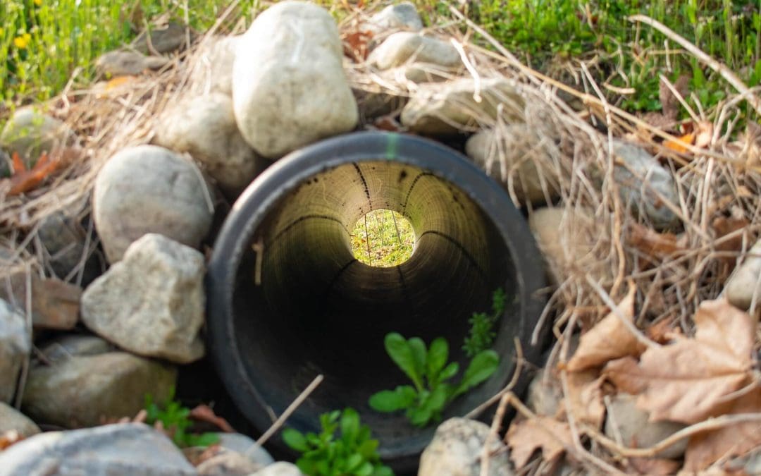 6 Ways to Keep Water Away from Your Foundation