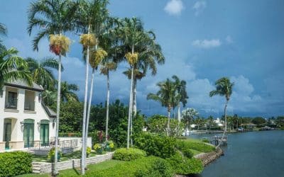 5 Roofing Options for Coastal Homes