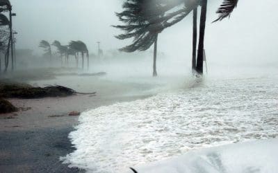 Prepare Your Home for Hurricane Season and Minimize Storm Damage