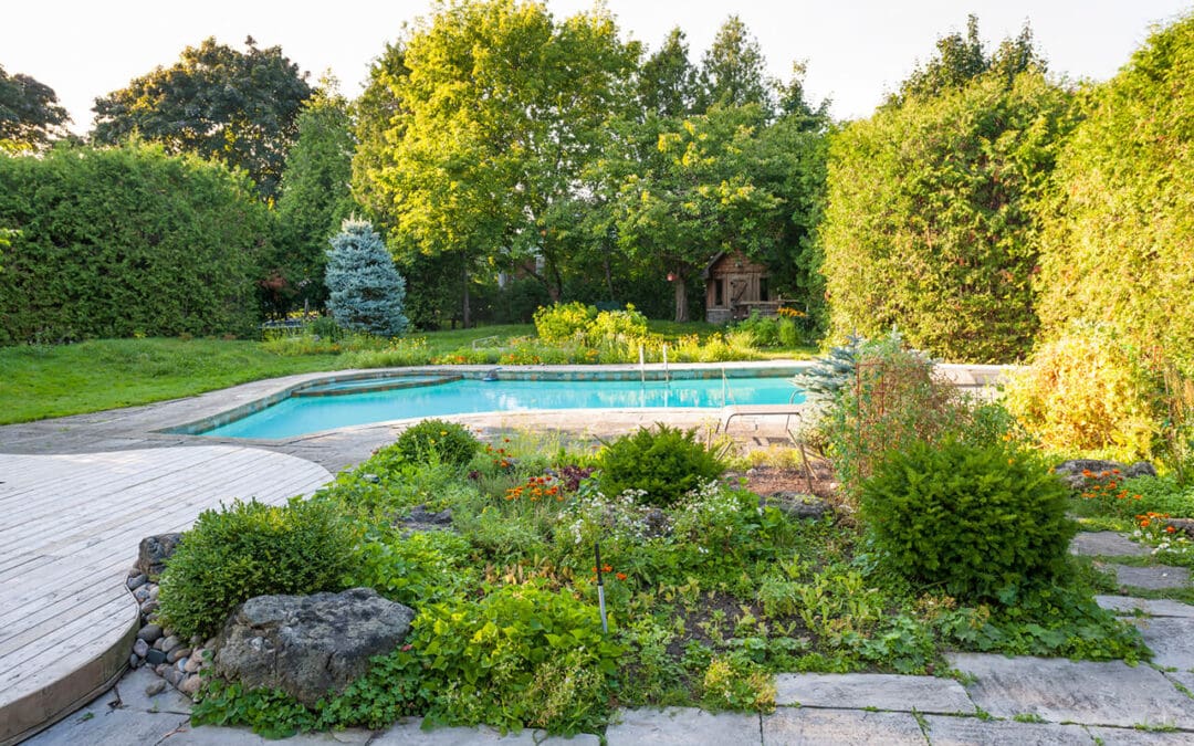 Landscaping Around Your Pool: Create a Backyard Oasis That Stands Out