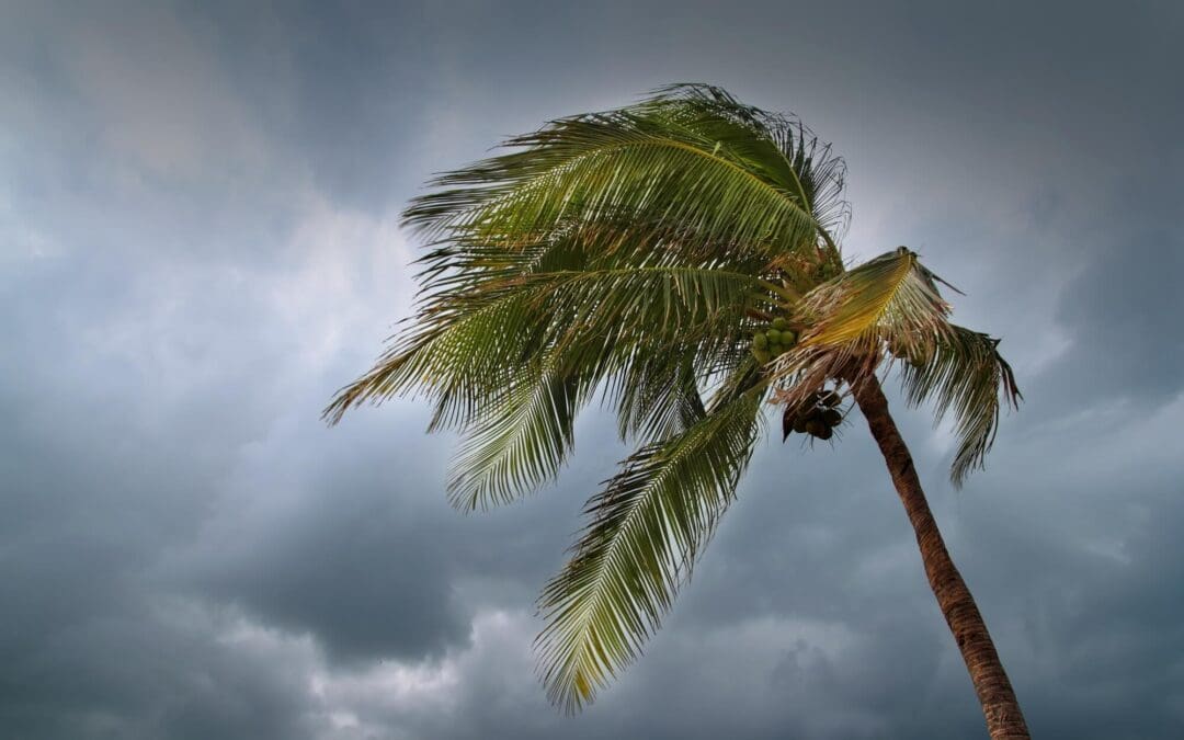 Built for the Storm: How Florida Keys Homeowners Can Minimize Wind Damage