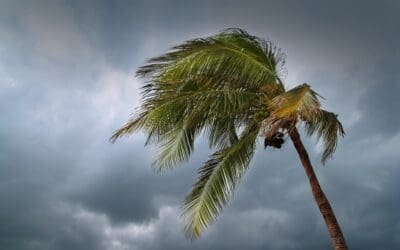 Built for the Storm: How Florida Keys Homeowners Can Minimize Wind Damage